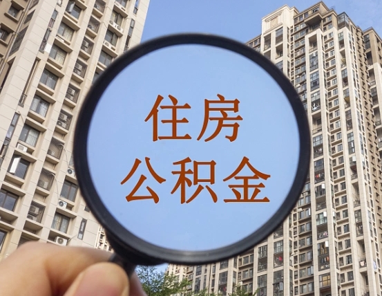 淄博退休后查不到公积金明细了吗（退休后公积金查询不到原因）